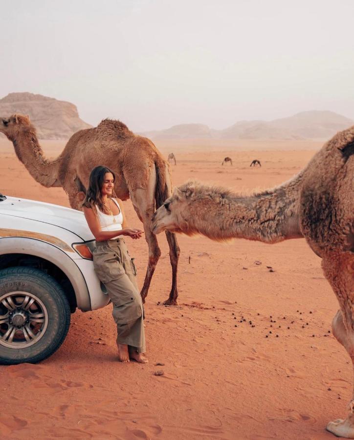 Sun Luxury Camp &Tour Apartment Wadi Rum Exterior photo